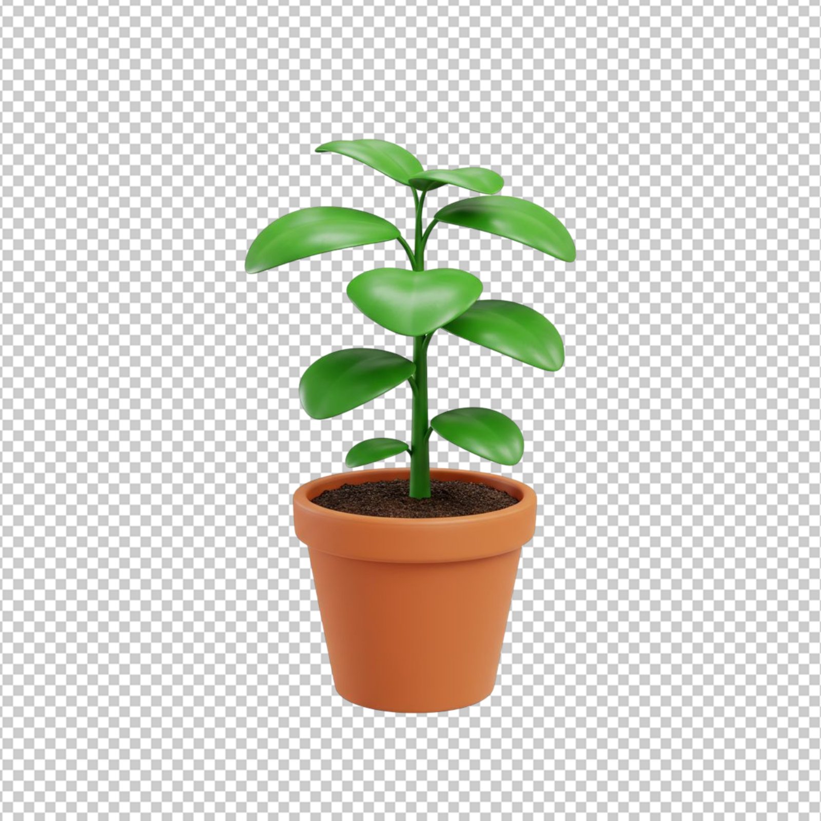 Cute 3D Potted Green Plant Isolated On Transparent Background