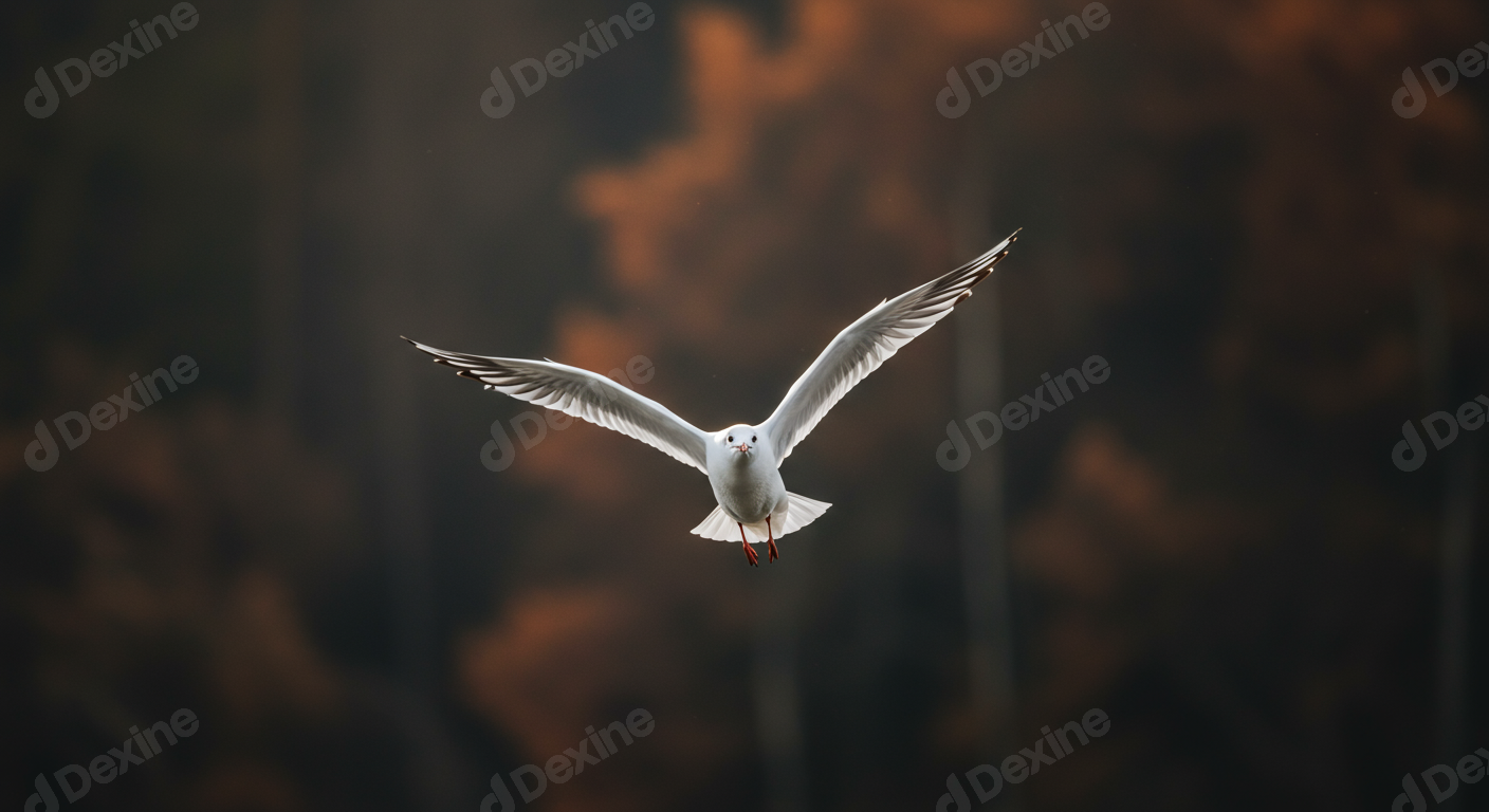 Graceful White Seagull In Flight Against Blurry Autumn Backdrop