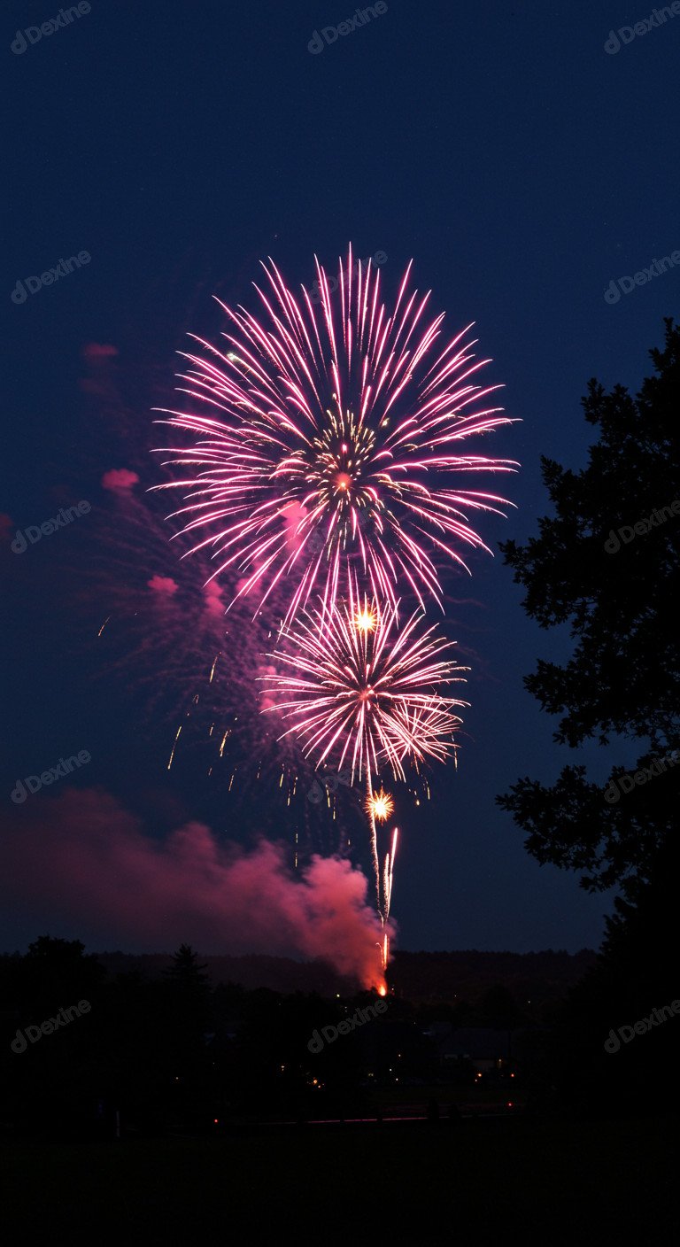 Spectacular Night Fireworks Display With A Festive Season Vibe