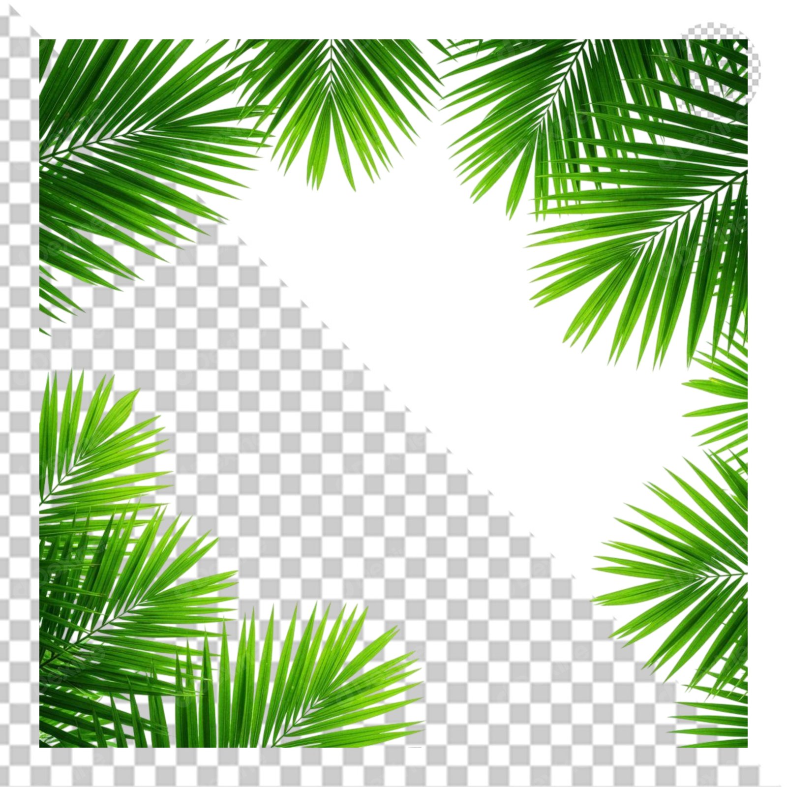 Frames & Borders PNGs Preview 1