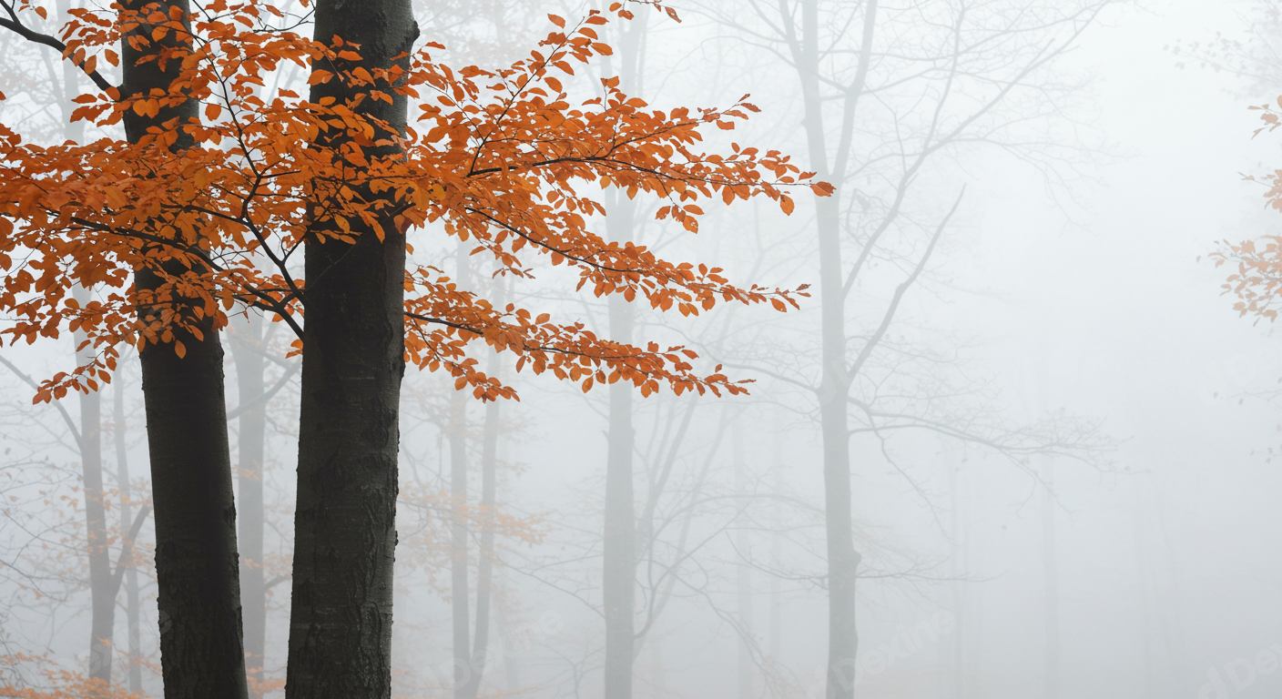 Vibrant Orange Autumn Leaves In A Mysterious Foggy Forest