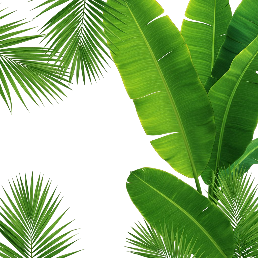 Vibrant Tropical Green Leaves Transparent PNG Frame Design Element