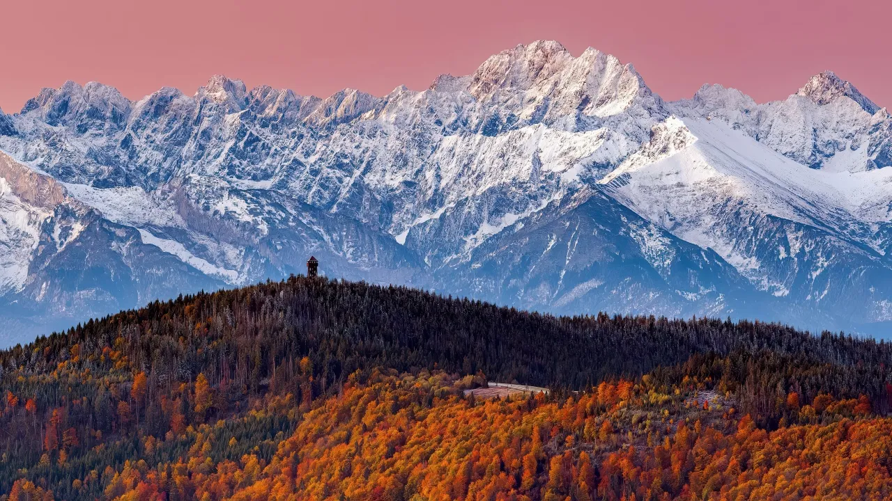 Tatra Mountains, Autumn Forest, Landscape, Snowy Mountains, Pink sky