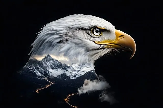 Free Eagle Liberty illustration and picture