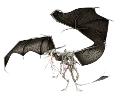 Free Dragon Wraith illustration and picture