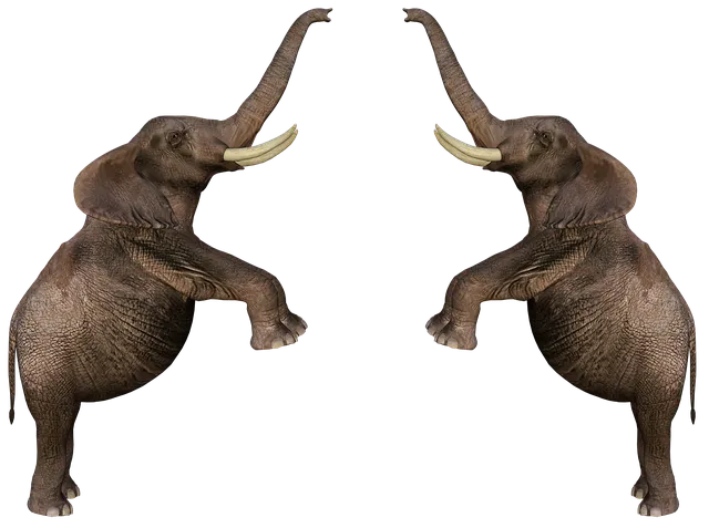 Free Elephants Wildlife illustration and picture