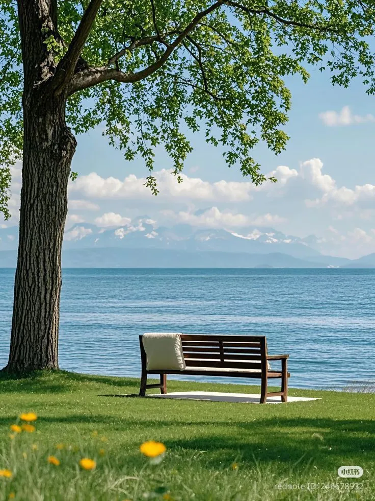 a park bench sitting next to a tree near the water with mountains in the background