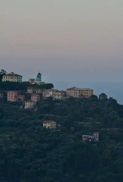 Free Town Location photo and picture