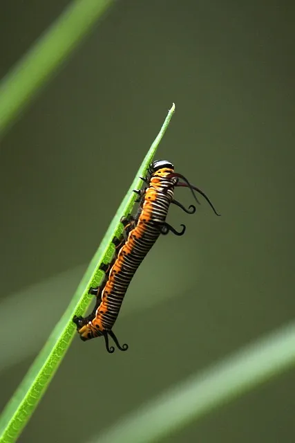 Free Kerala Mobile Wallpaper 4K photo and picture