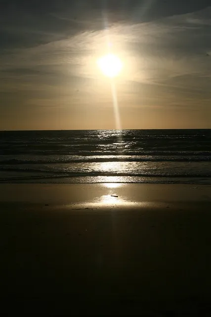 Free Sunset Phone Wallpaper photo and picture