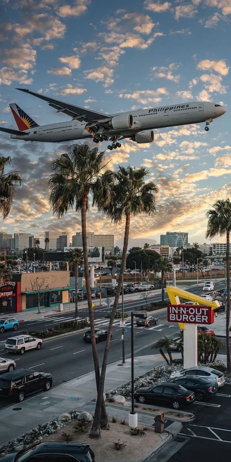 an airplane taking off from the airport with palm trees and cars in the foreground