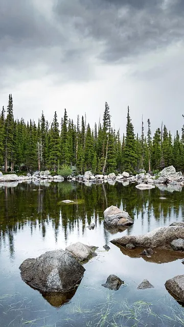 Free Lake Rocks photo and picture