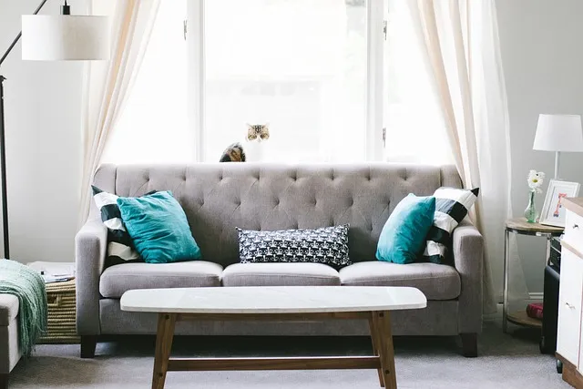 Free Living Room Sofa photo and picture