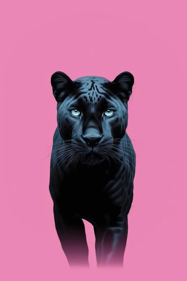 a black tiger with blue eyes on a pink background