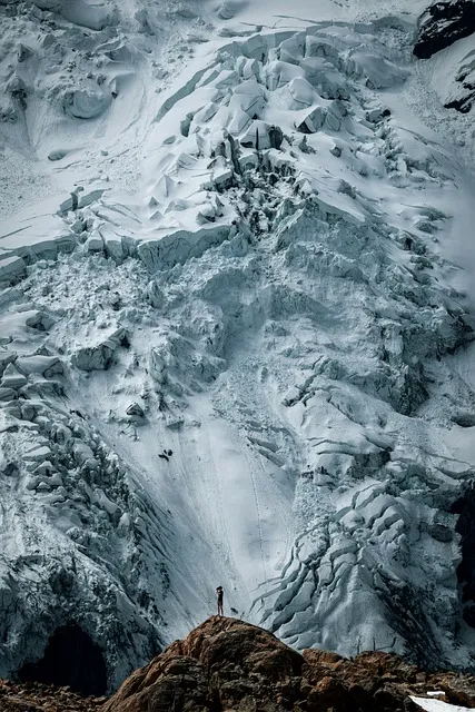 Free Bridge Nature photo and picture