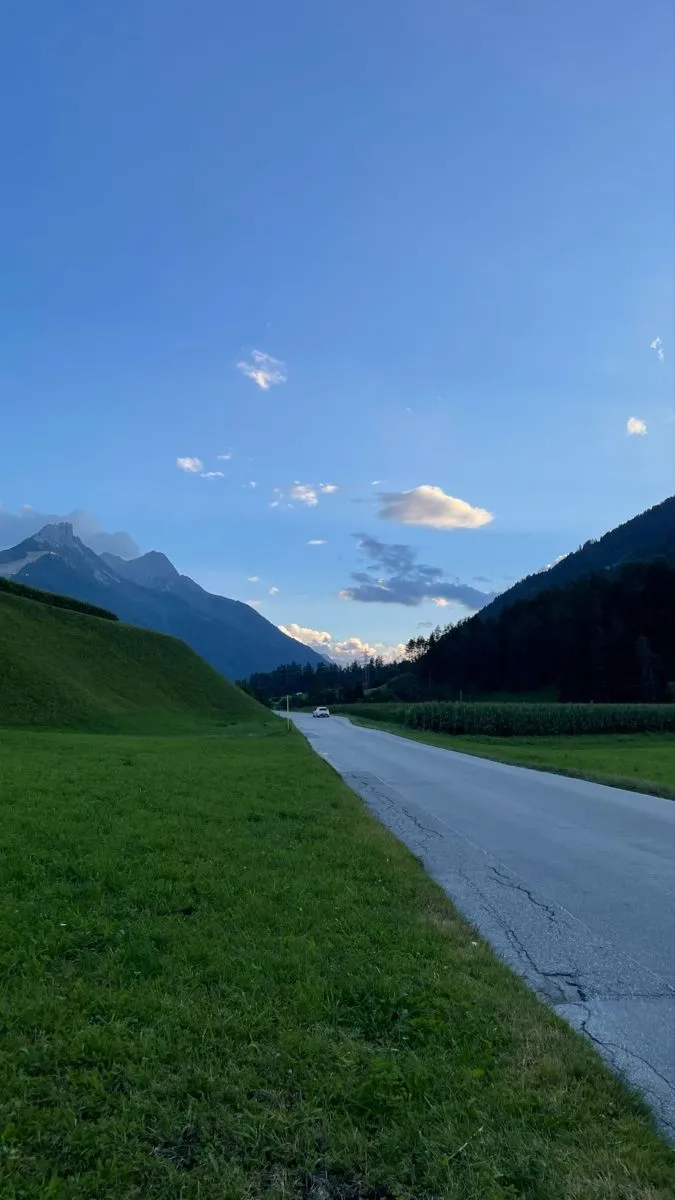 an empty road in the middle of a grassy field with mountains in the background at dusk