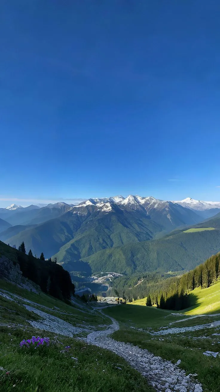 a path in the middle of a green valley