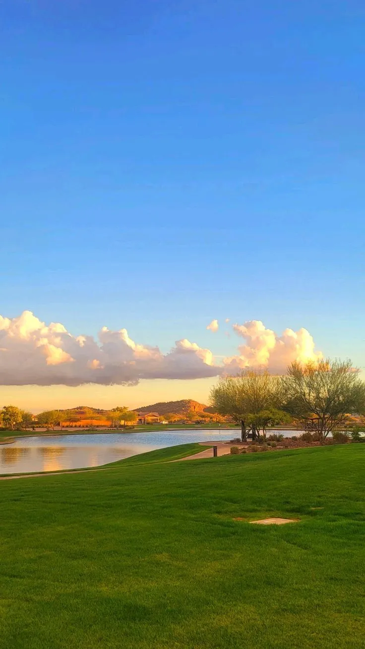 a person is flying a kite in the sky over a body of water and trees