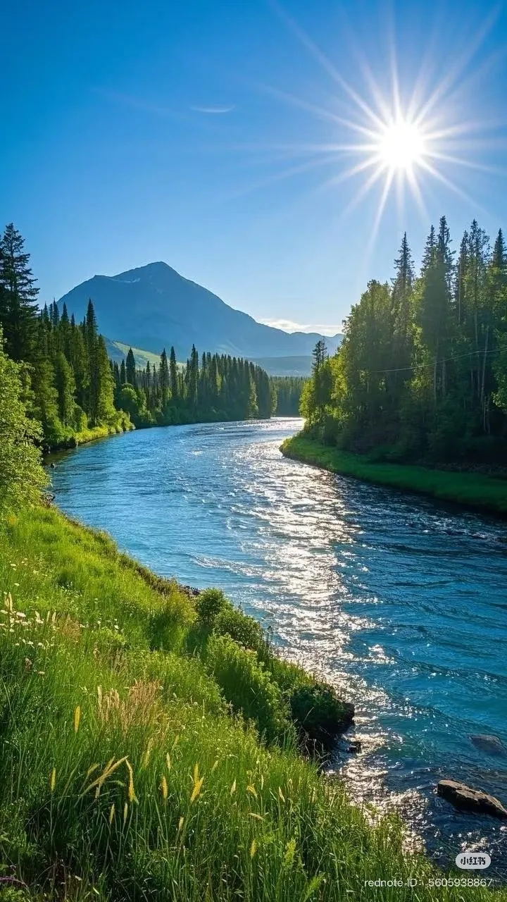 the sun shines brightly over a river in the mountains near a grassy bank and trees