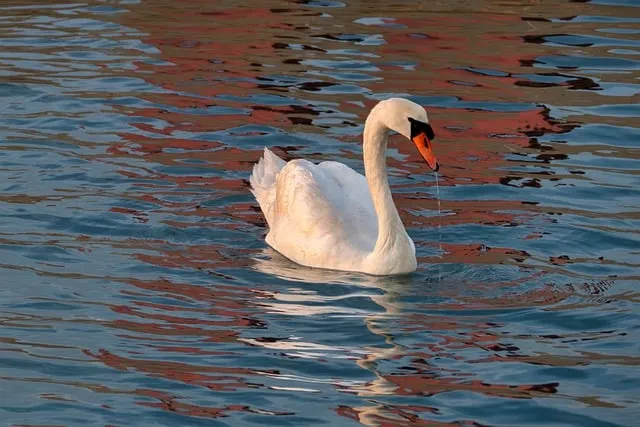 Free Nature Sea photo and picture