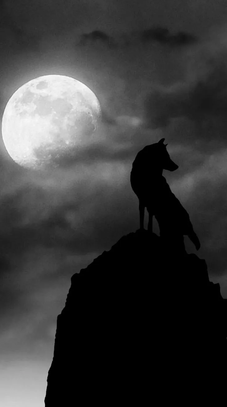 a wolf standing on top of a mountain under a full moon