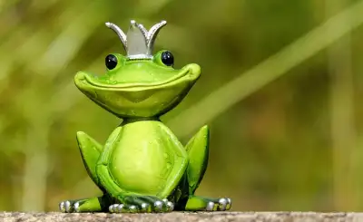 Free Frog Frog Prince photo and picture