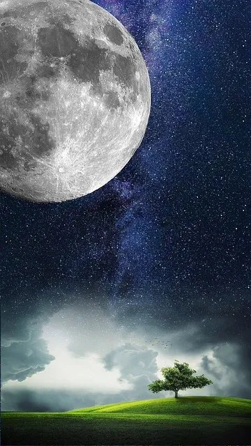Free Moon Beautiful Wallpaper photo and picture