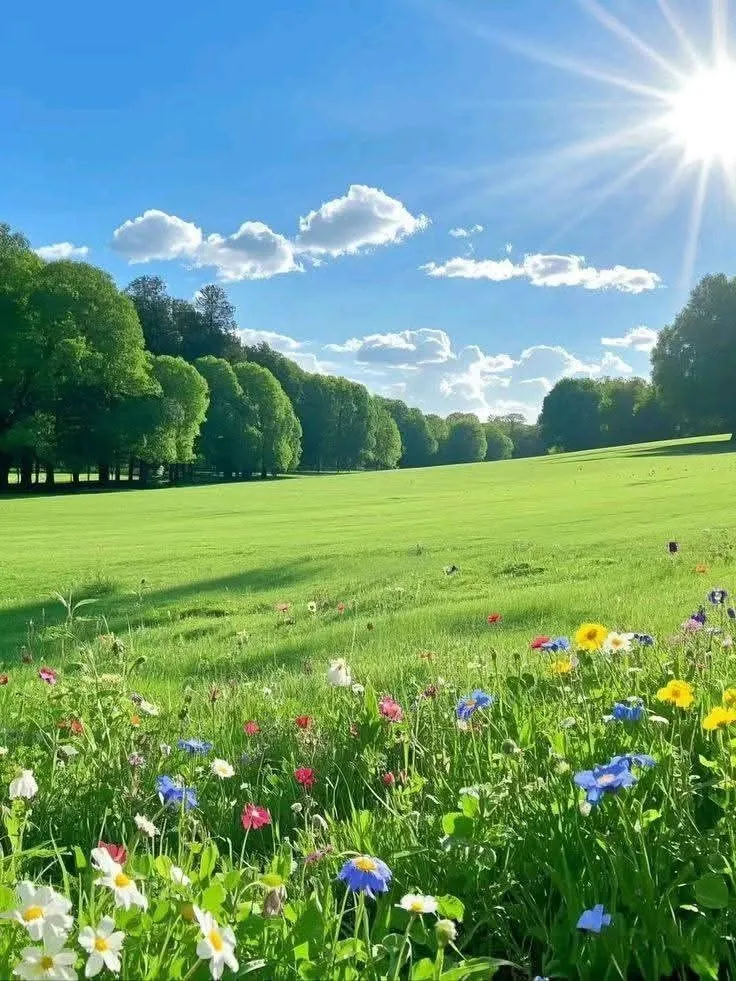 the sun shines brightly over a green field with wildflowers