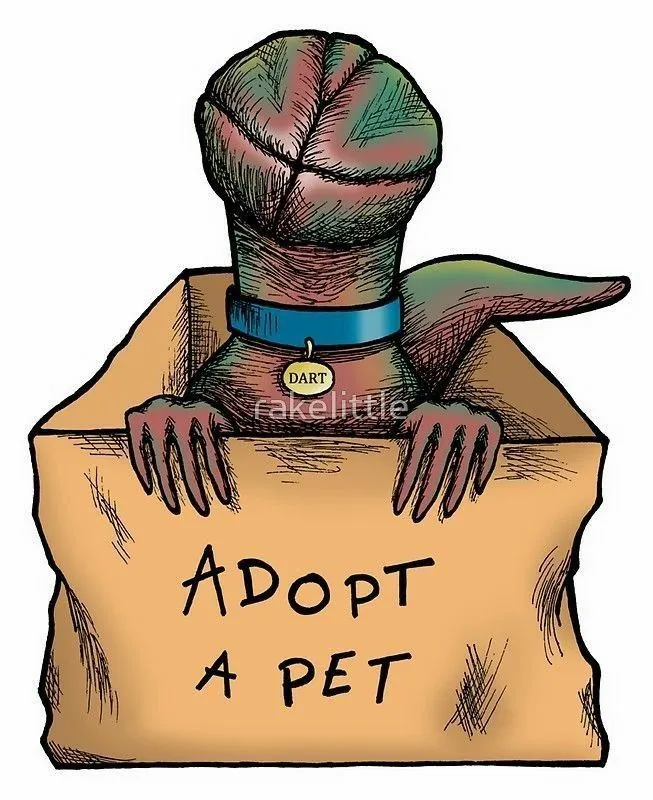 a drawing of a dog in a box with the caption adopt a pet