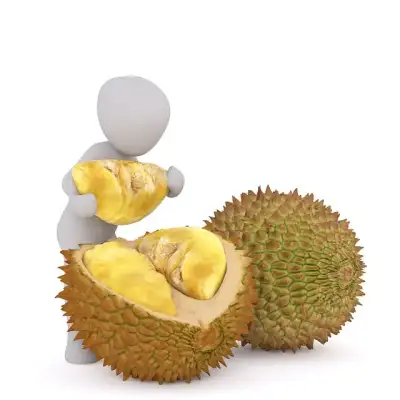 Free Jack Fruit Smelly Fruit illustration and picture