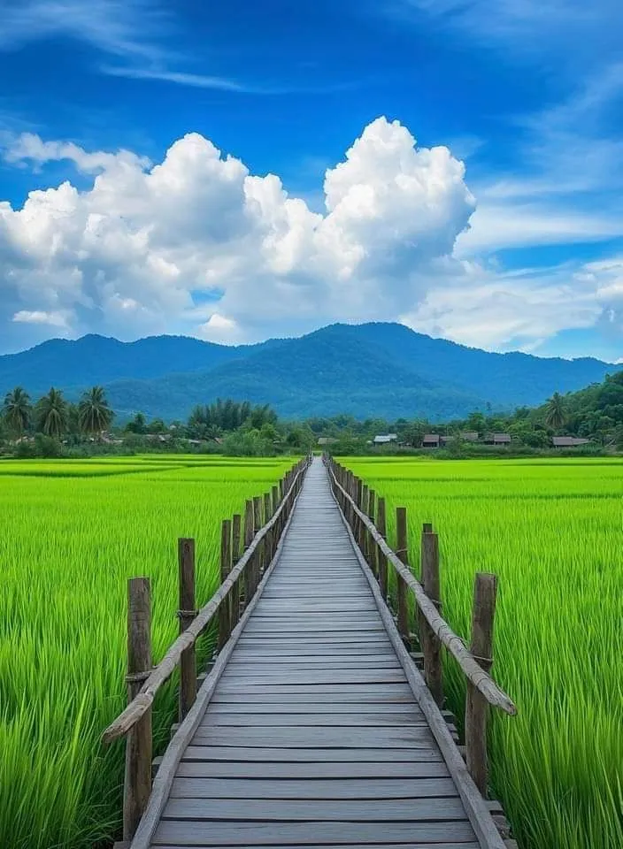 beautiful nature pictures amazing photos ☘️☘️