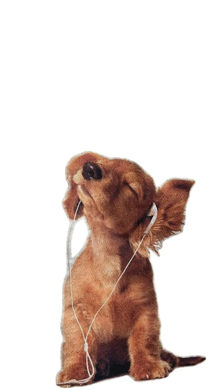 a small brown dog sitting on top of a white floor with headphones in it's ears