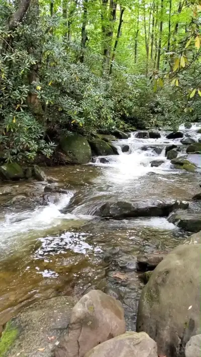 Hiking trail with river crossing to waterfalls in Great Smoky Mountains National Park - Tennessee TN