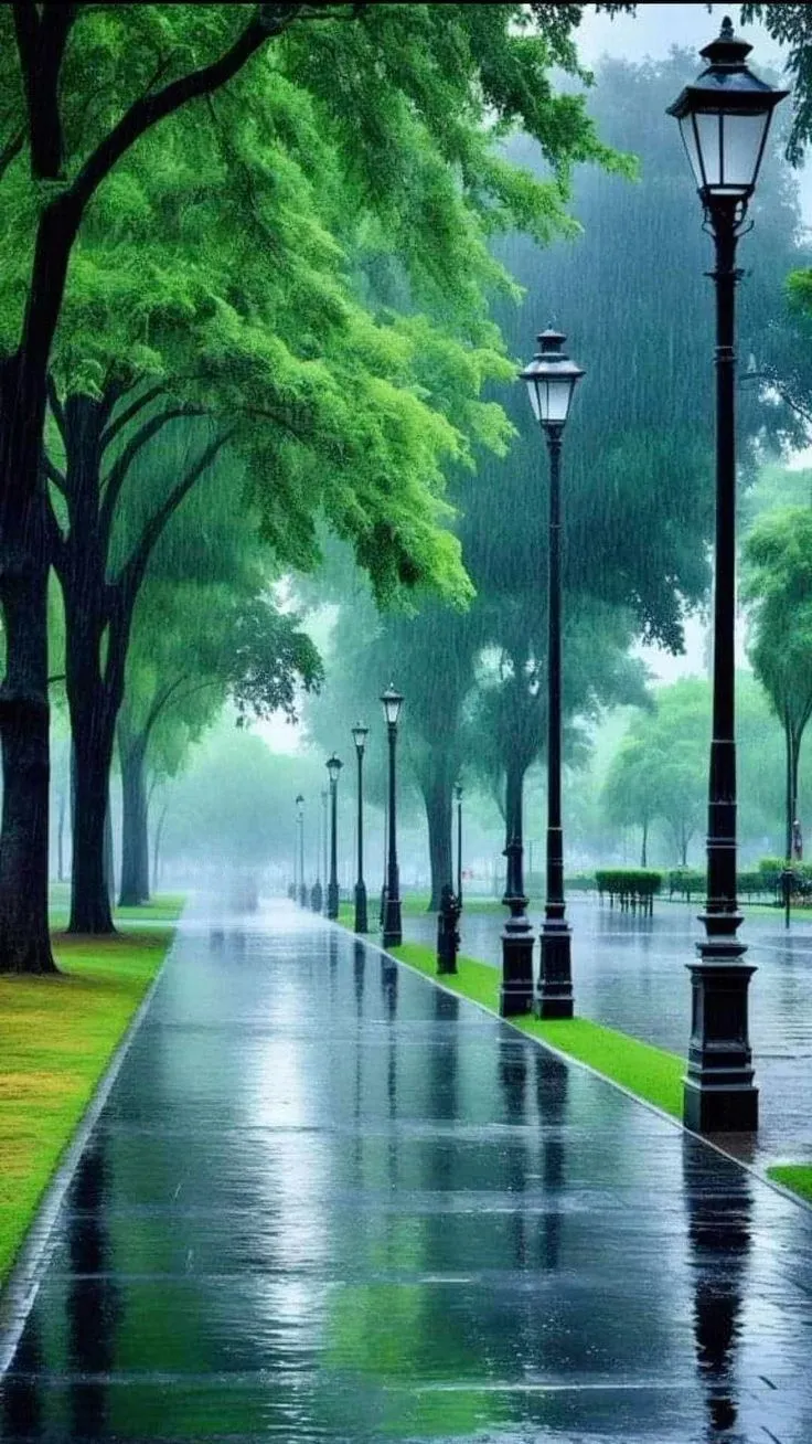 a rainy day in the park with trees and street lamps on either side of the road