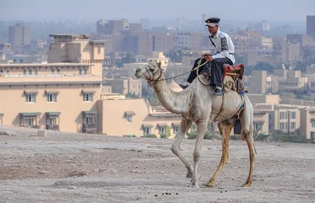 Free Cairo Egypt photo and picture