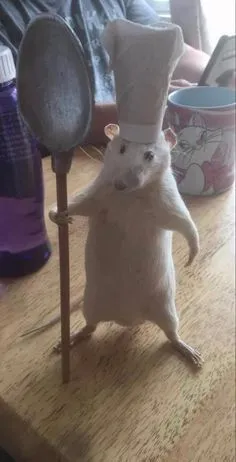 a toy rat with a chef's hat on its head standing next to a spoon
