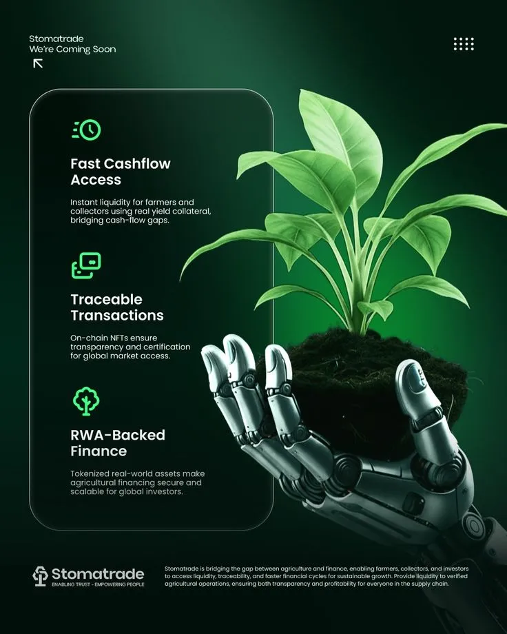 Cuniverse | Graphic Designer | Social media success isn't about posting more—it's about posting smarter. my focus is on clear strategy, smooth, and efficient execution to... | Instagram