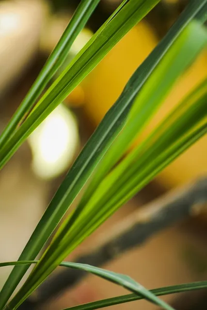 Free Sheets Beautiful Wallpaper photo and picture