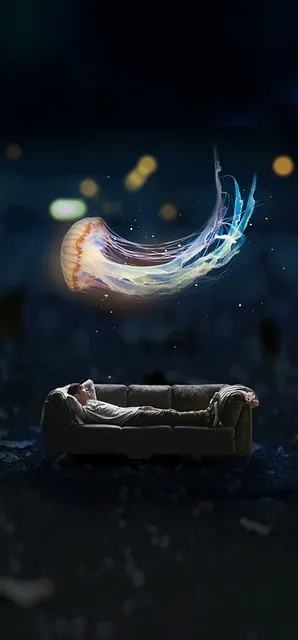 Free Boy Sofa photo and picture