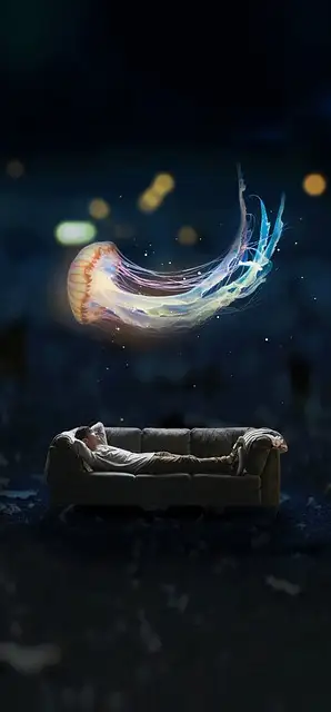 Free Boy Sofa photo and picture