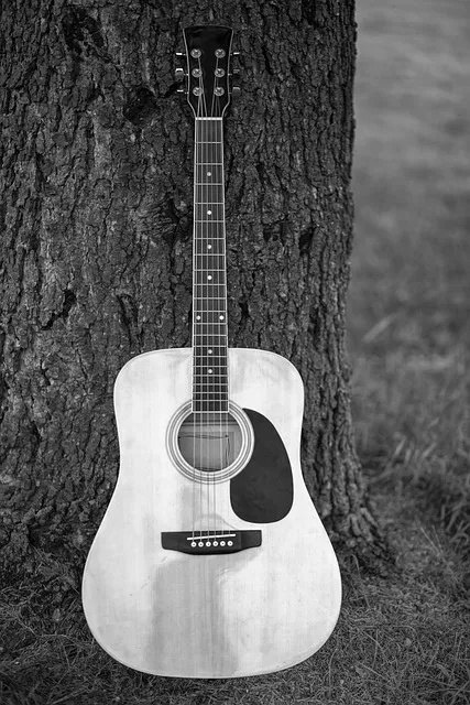 Free Guitar Background photo and picture