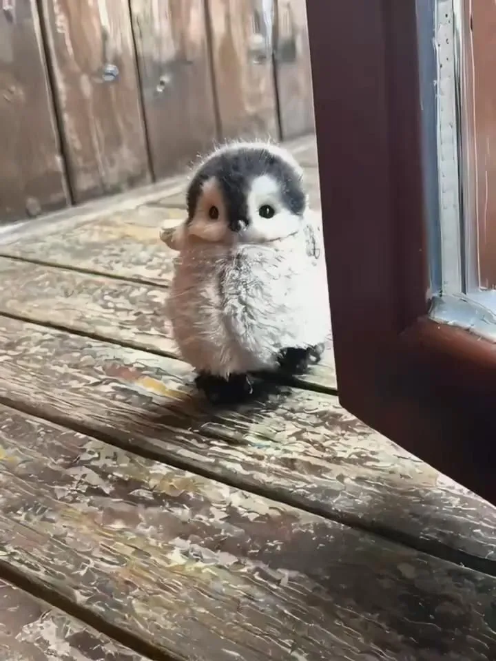 My Realistic Penguin