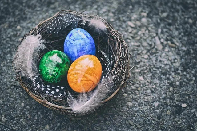 Free Easter Eggs Easter Nest photo and picture