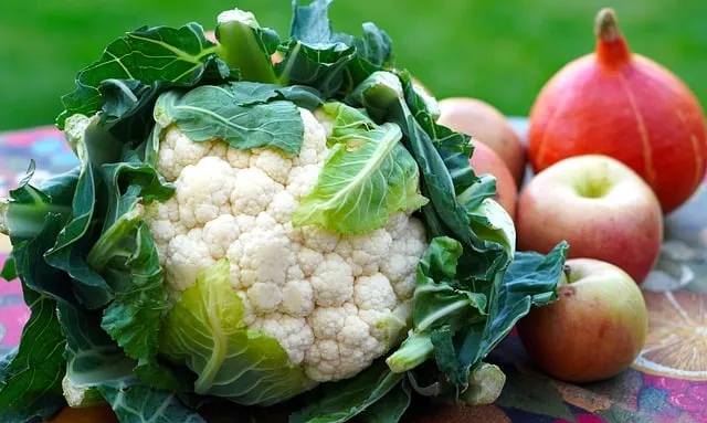 Free Cauliflower Vegetables photo and picture
