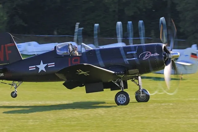 Free Warbird Fighter Plane photo and picture