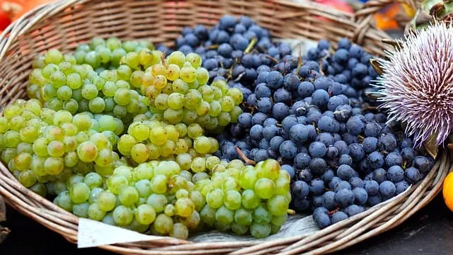 Free White Grapes Grape Red photo and picture