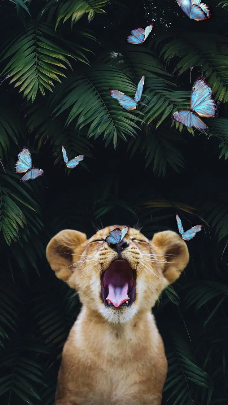 #lion #butterfly #nature