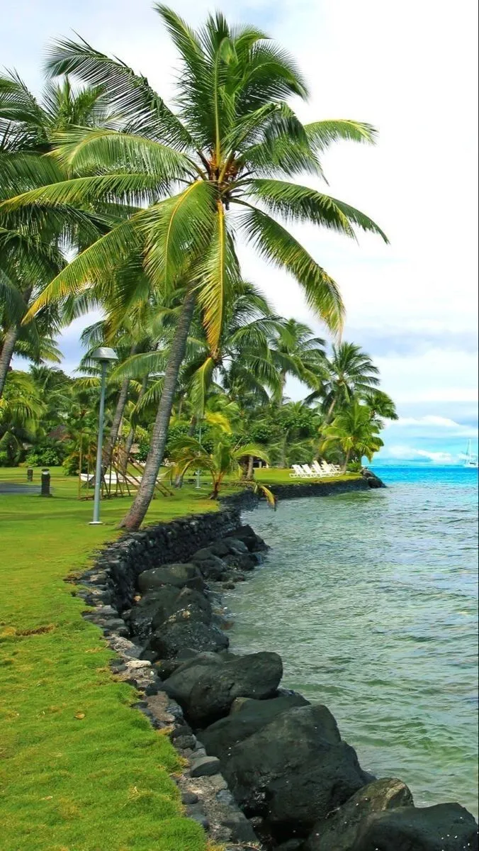 #waterfront #waterview #ocean #sea #beachliving #oceanfront #lakefront #lake #beach #palmtrees