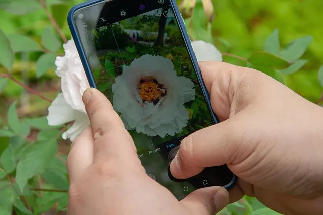 Free Smartphone Flowers photo and picture