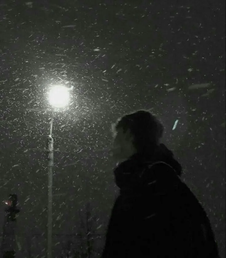 a person standing in the snow at night under a street light with snow flakes all over them